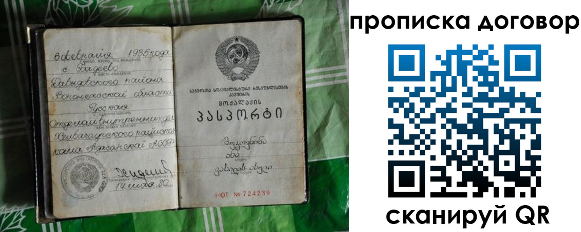 прописка в Пионерском