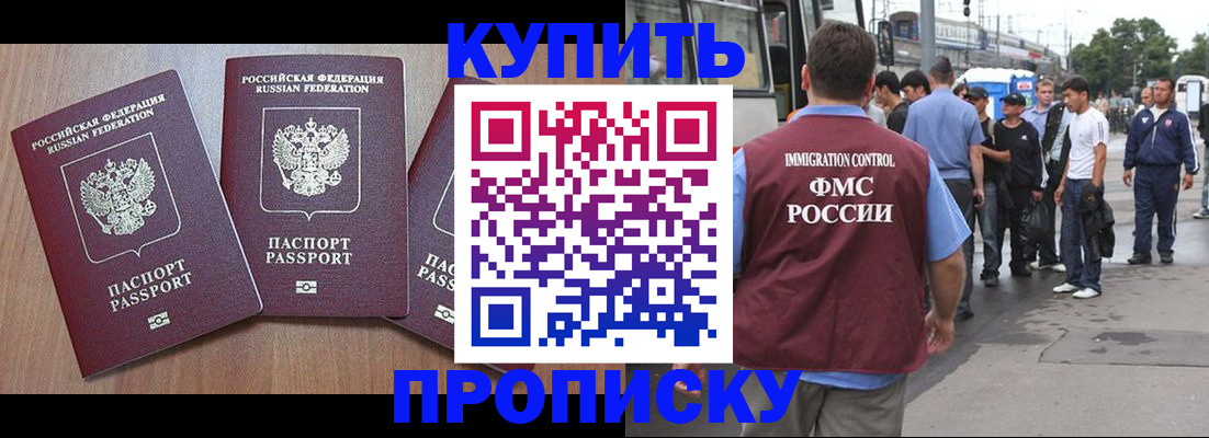 прописка 2025 в Пионерском